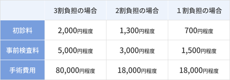 手術料金表