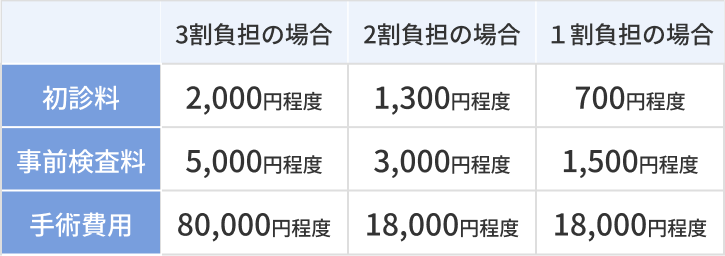 手術料金表